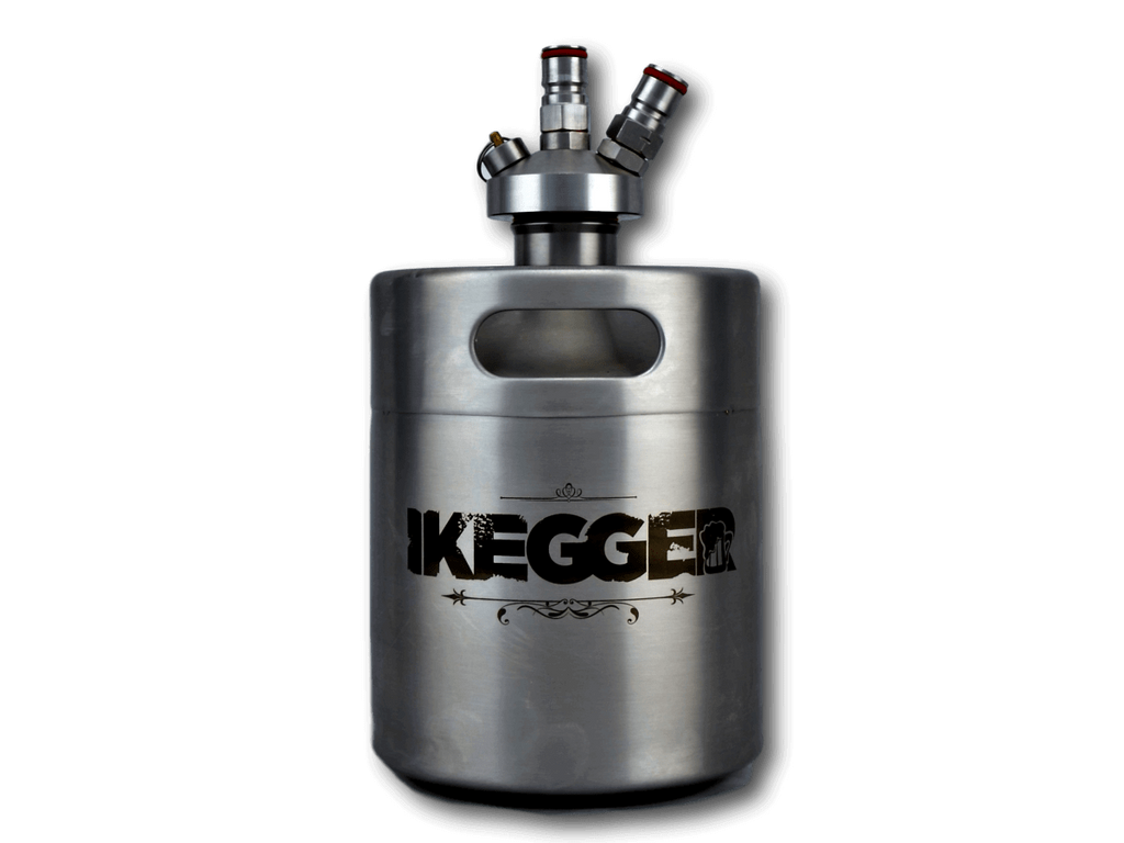 Keg Rod 2L Pro Tap Mini Keg Kit - Beer - Cocktails - Any drink!